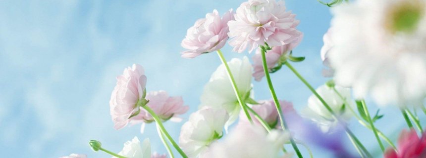 焦虑惊恐和疑病症自救指南